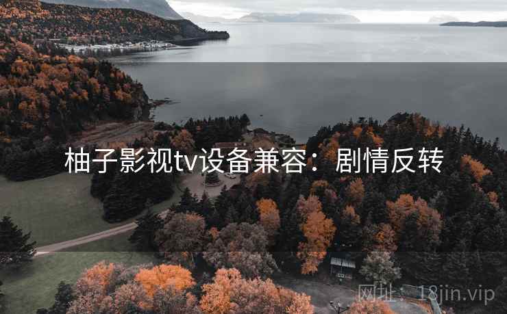 柚子影视tv设备兼容:剧情反转 柚子影视tv设备兼容:剧情反转